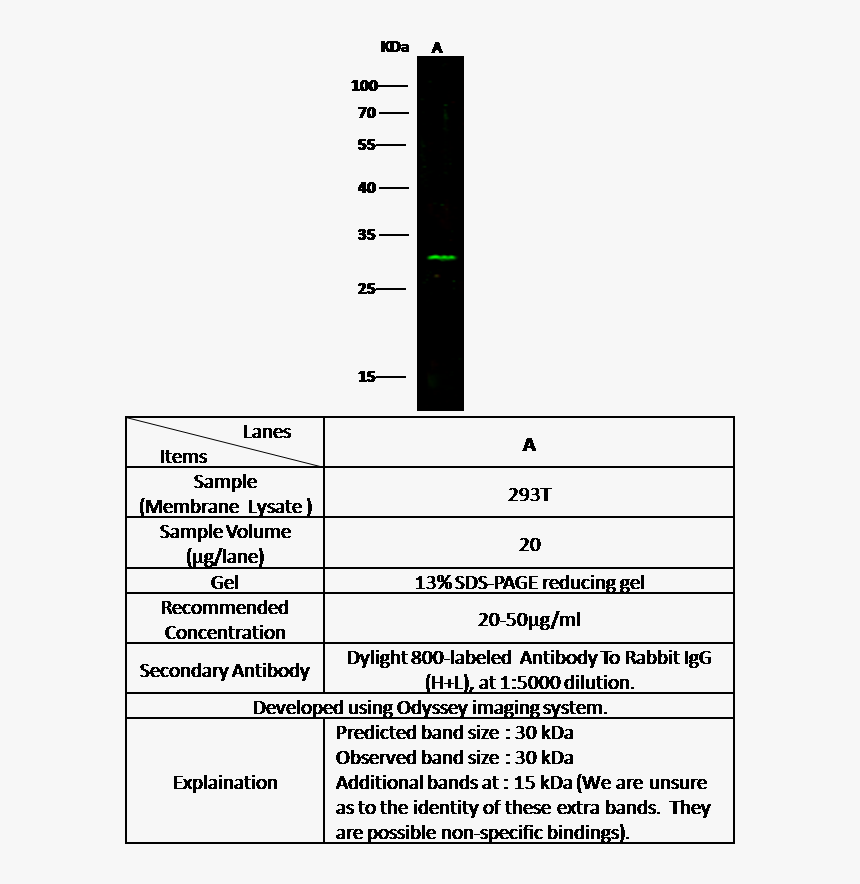 Number, HD Png Download