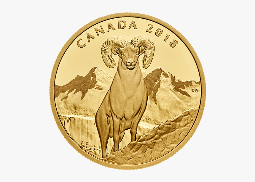 2018 Canada Gold Bighorn, HD Png Download
