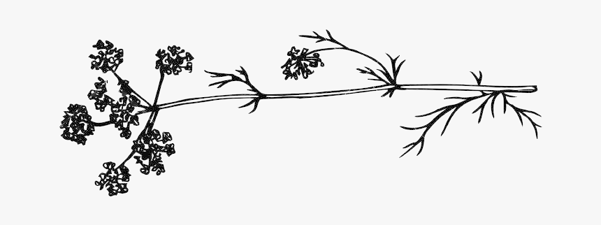 Left - Illustration, HD Png Download