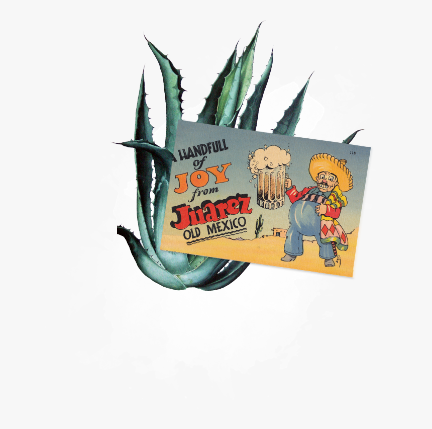 Agave - Cartoon, HD Png Download