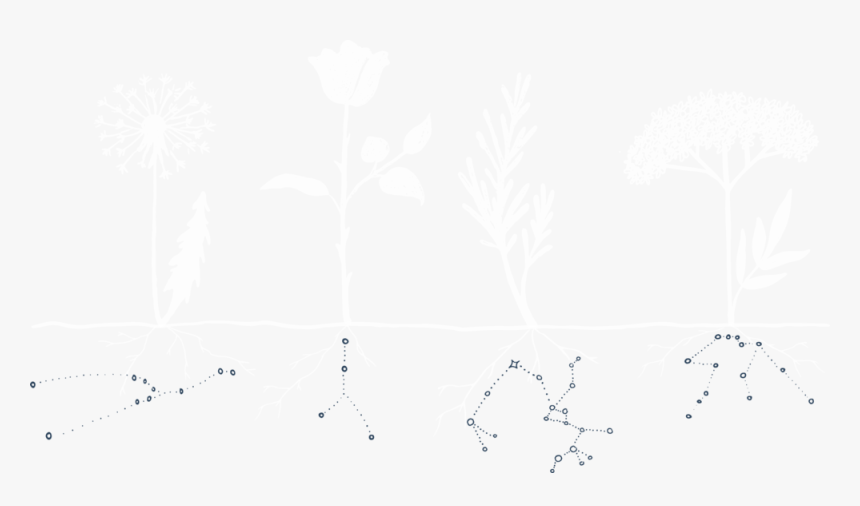 Asset 25@8x - Slope, HD Png Download