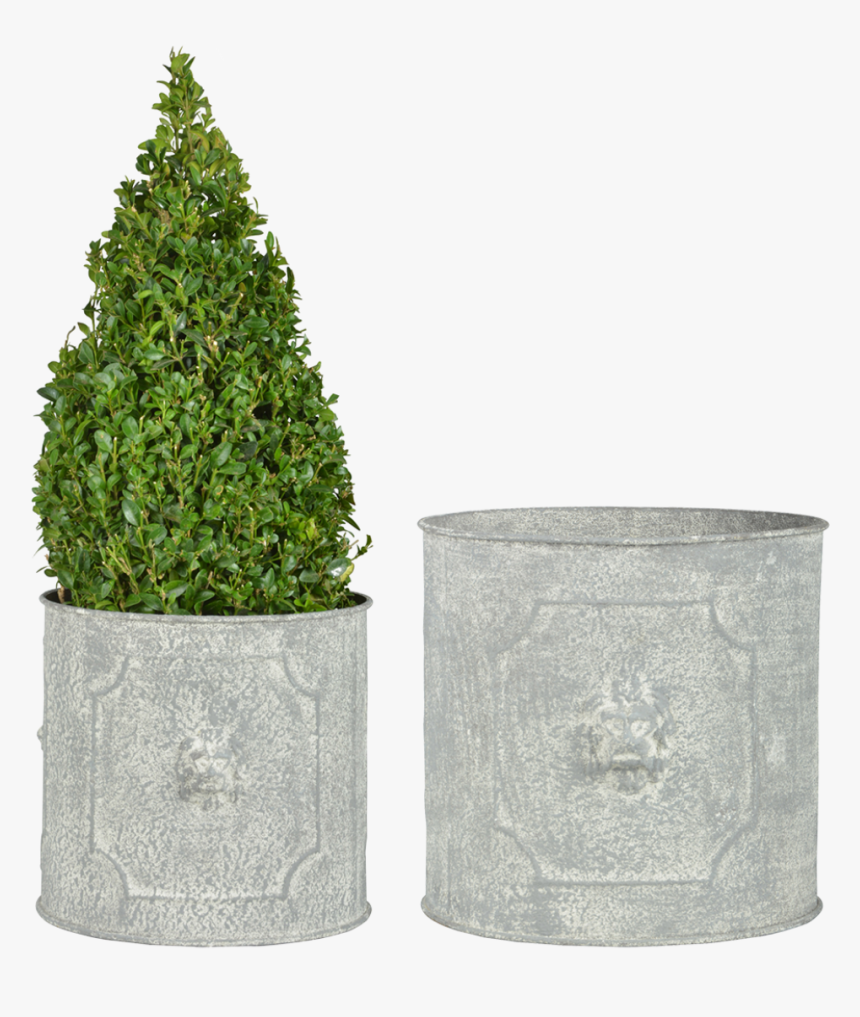 Am Lion Round Flower Pots Set/2 - Pflanzkübel Zink Vintage, HD Png Download