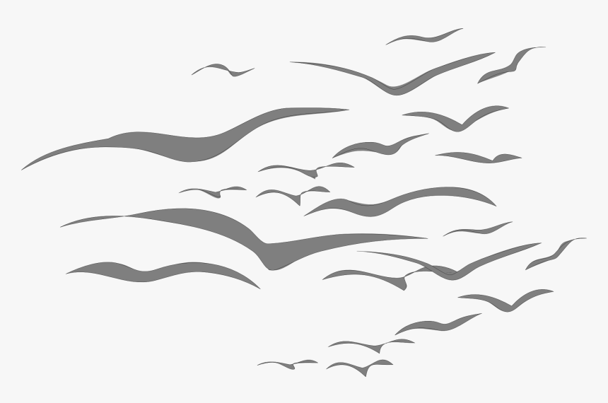 Bird Graphic Design Flying, HD Png Download
