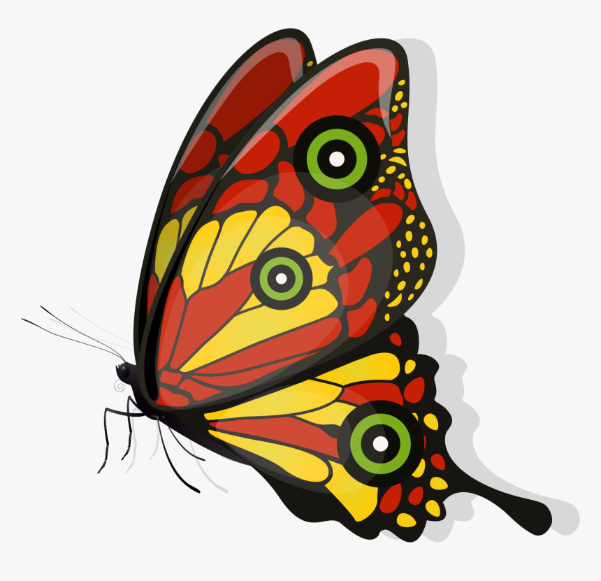 Brush-footed Butterfly, HD Png Download
