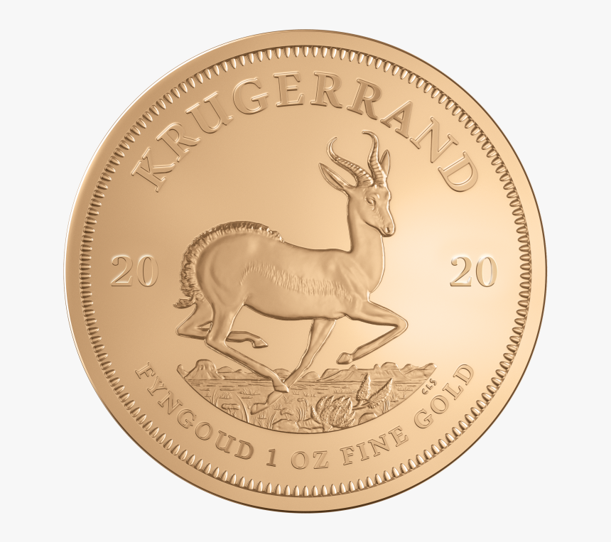 1 Oz Krugerrand 2020 Gold Coin - Krugerrand 2020 1 Oz, HD Png Download