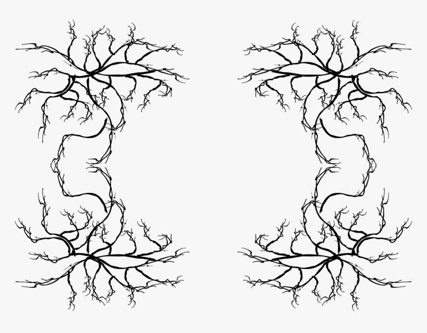 Line Art, HD Png Download