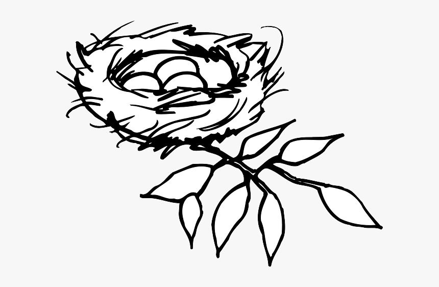 Nest, Eggs, Birds, Branch, Mystery, New, Life, Care - Nest Clipart Black And White, HD Png Download