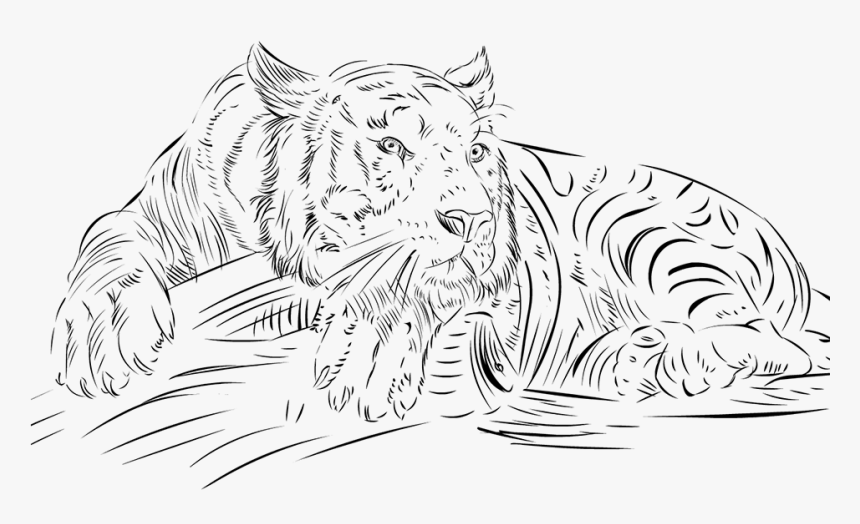 Drawing - Line Art, HD Png Download