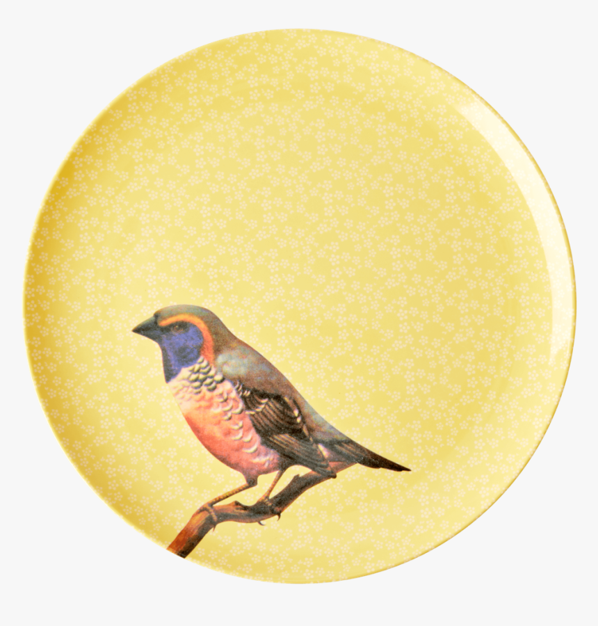 Plate, HD Png Download