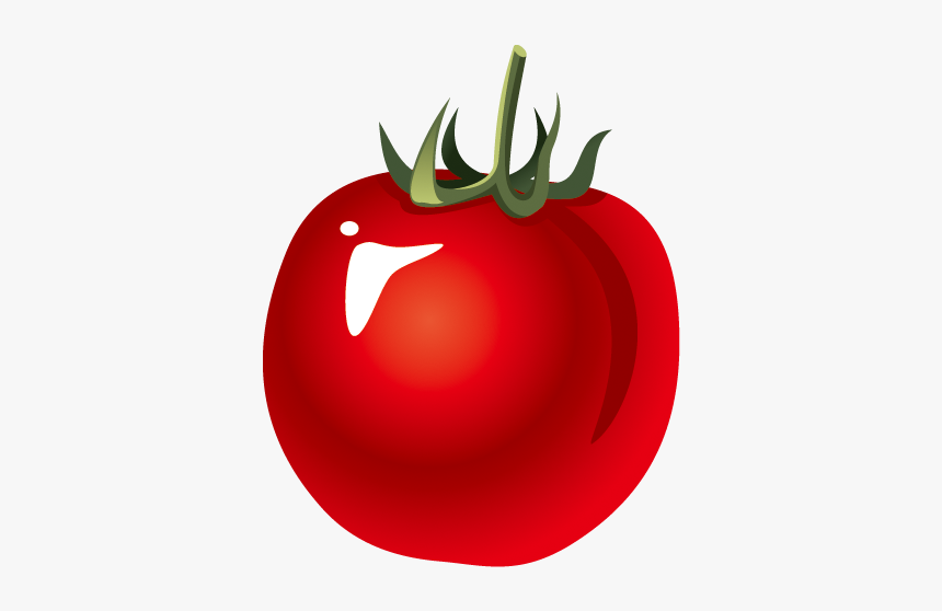 Plum Tomato, HD Png Download
