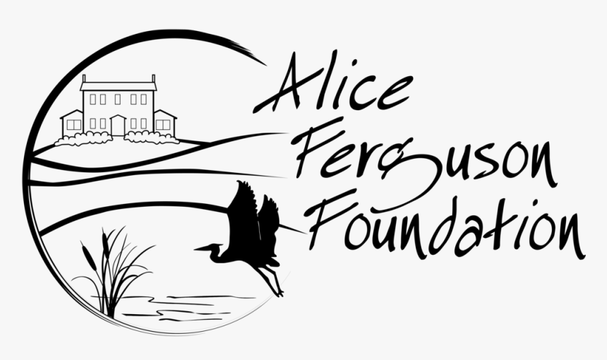 Alice Ferguson Fndtn - Alice Ferguson Foundation Logo, HD Png Download