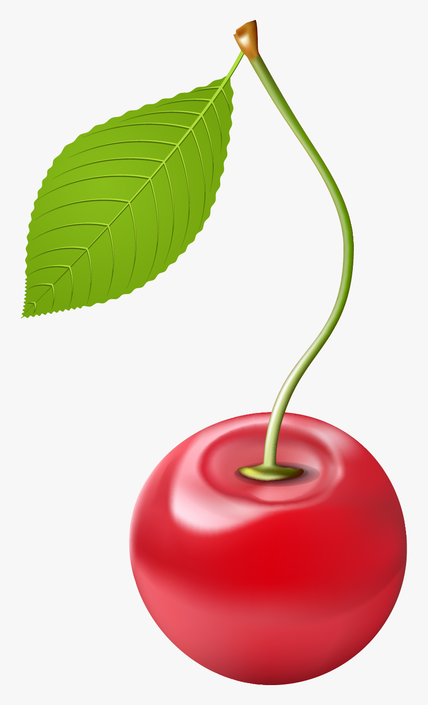 Cherry Png Transparent Free Images - Cherry Png Clipart, Png Download