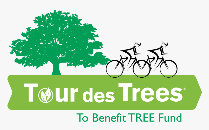 Tour Des Trees 2018, HD Png Download