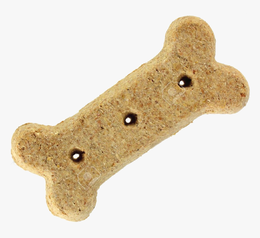 Dog Treat Png, Transparent Png , Transparent Png Image - PNGitem