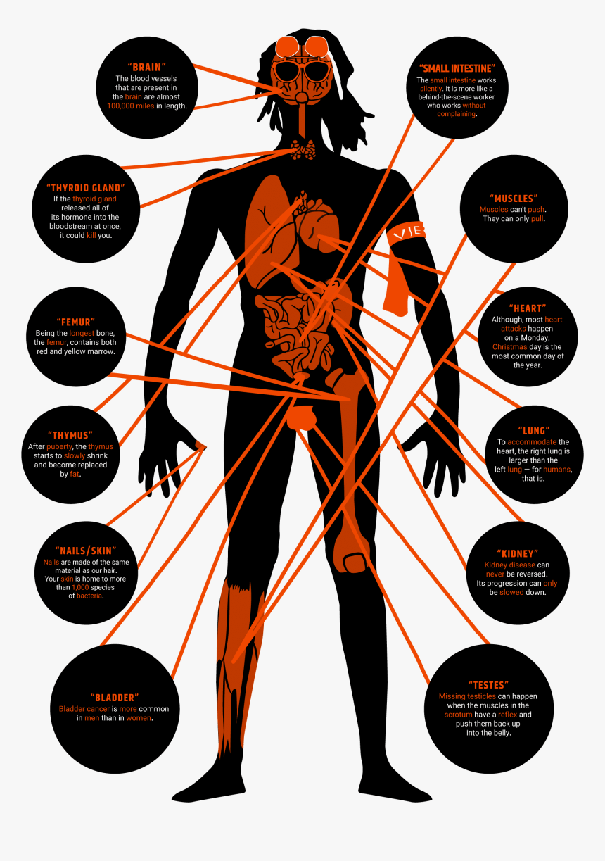 Sticker, HD Png Download