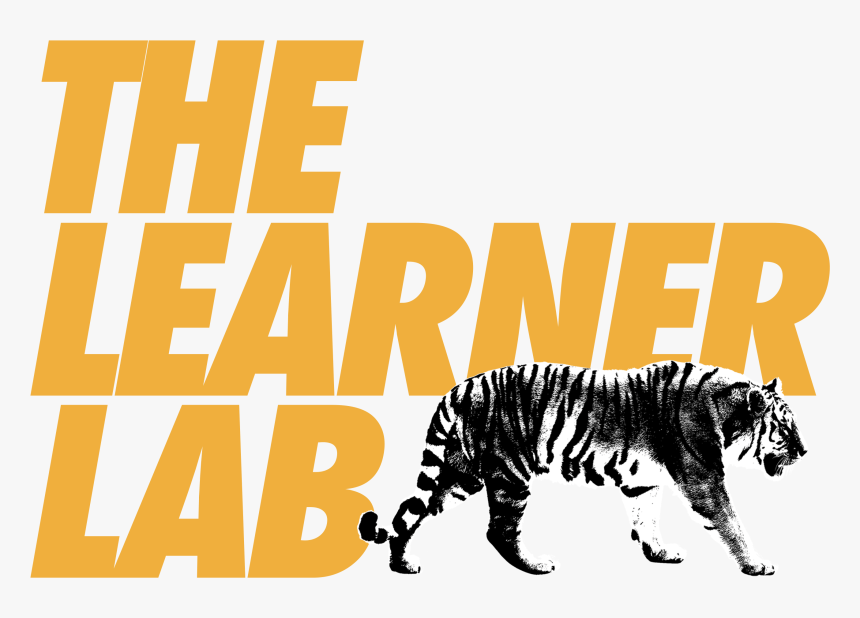 Siberian Tiger, HD Png Download