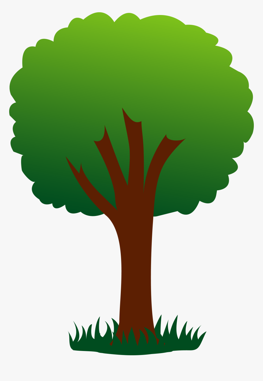 Other Popular Collections - Cartoon Picture Of Tree, HD Png Download