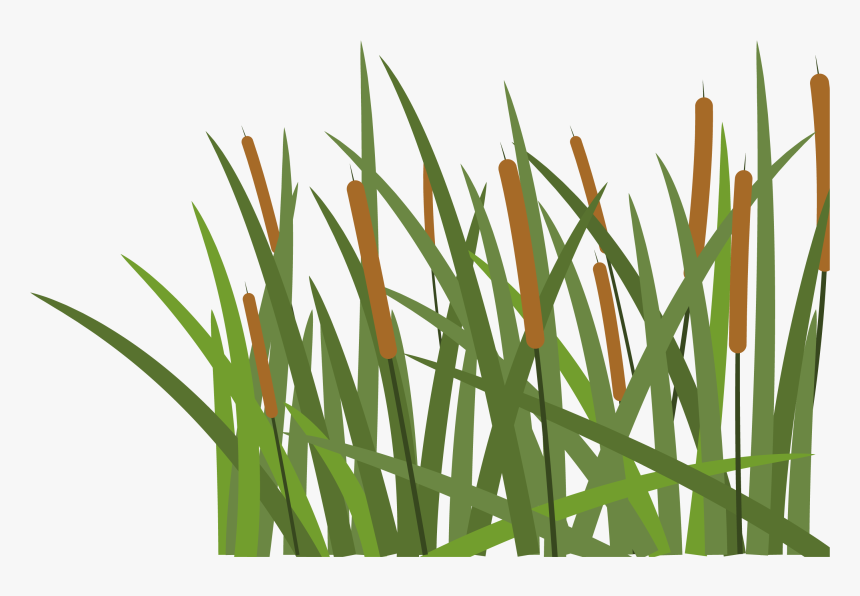 Hoochie S Denton - Transparent Pieces Of Grass, HD Png Download