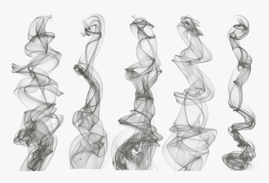 Sketch, HD Png Download