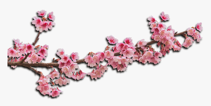 Flower Haar Png, Transparent Png