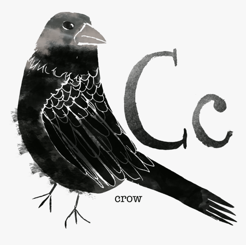 Crow - Rose Breasted Grosbeak, HD Png Download