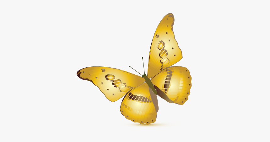 Butterfly Logo Design Free, HD Png Download