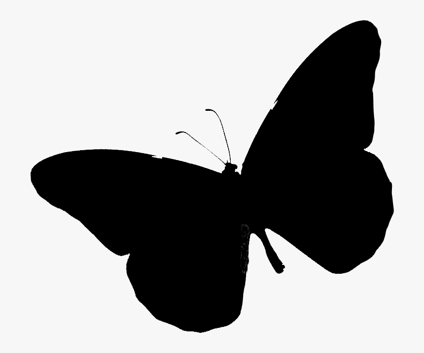 Brush-footed Butterflies Clip Art Silhouette Black - Brush-footed Butterfly, HD Png Download