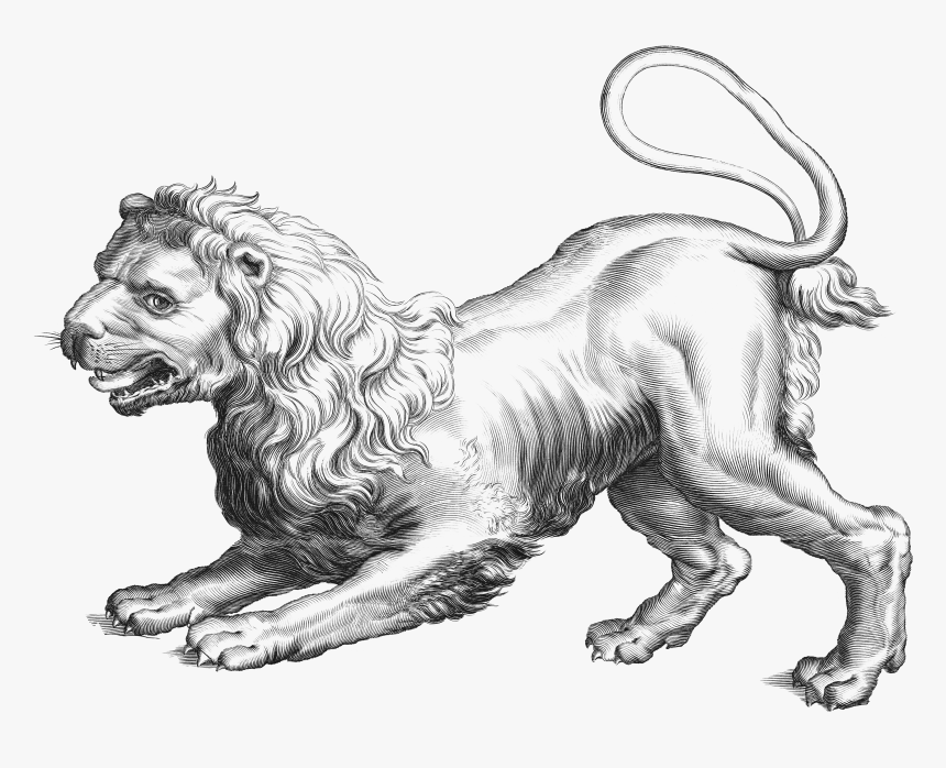 Leo Png Clipart - Constellation Hevelius, Transparent Png