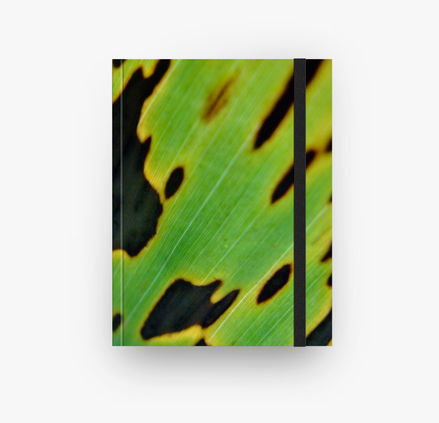 Caderno Viva O Verde De Anita Soaresna - Plant Pathology, HD Png Download