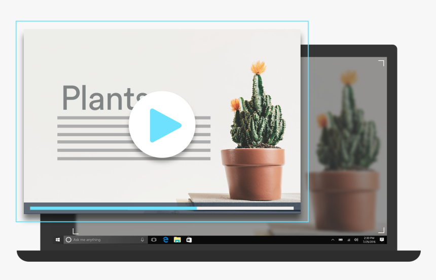 Houseplant, HD Png Download