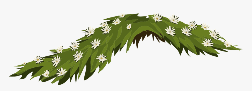 Flowers Jasmine White Leaves Png Image - White Flower Leaves Png, Transparent Png