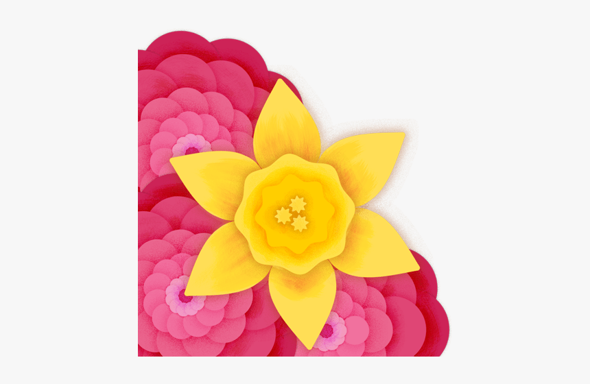 Rose, HD Png Download