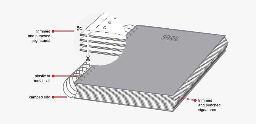 Document, HD Png Download