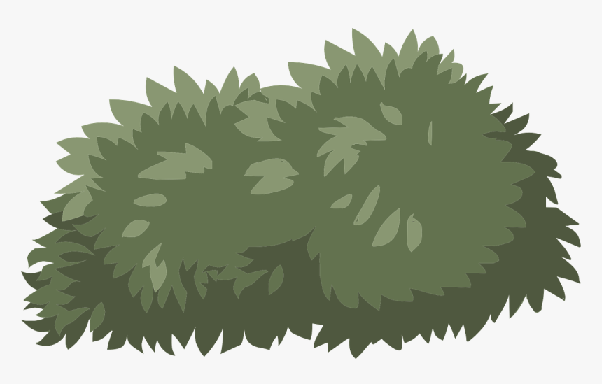Bush, Shrub, Green, Nature, Plant, Lush, Landscape - Shrub Clipart, HD Png Download
