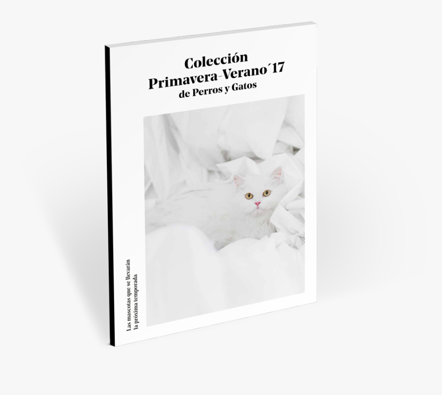 Domestic Short-haired Cat, HD Png Download