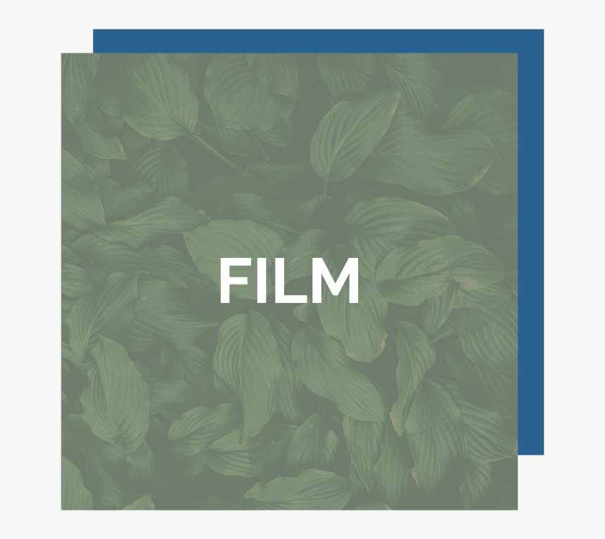 Web Pillar-18 - Keep Calm And Eat Chocolate, HD Png Download