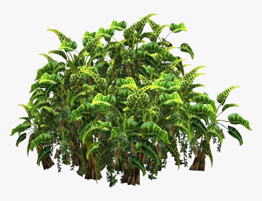 Free Icons Png - Tropical Plantas Plant Png, Transparent Png