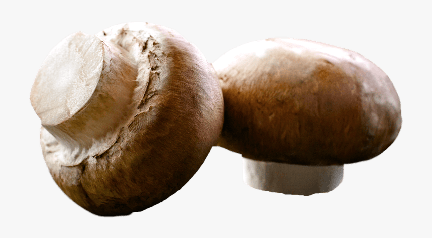 Mushroom Brown - Mushroom, HD Png Download