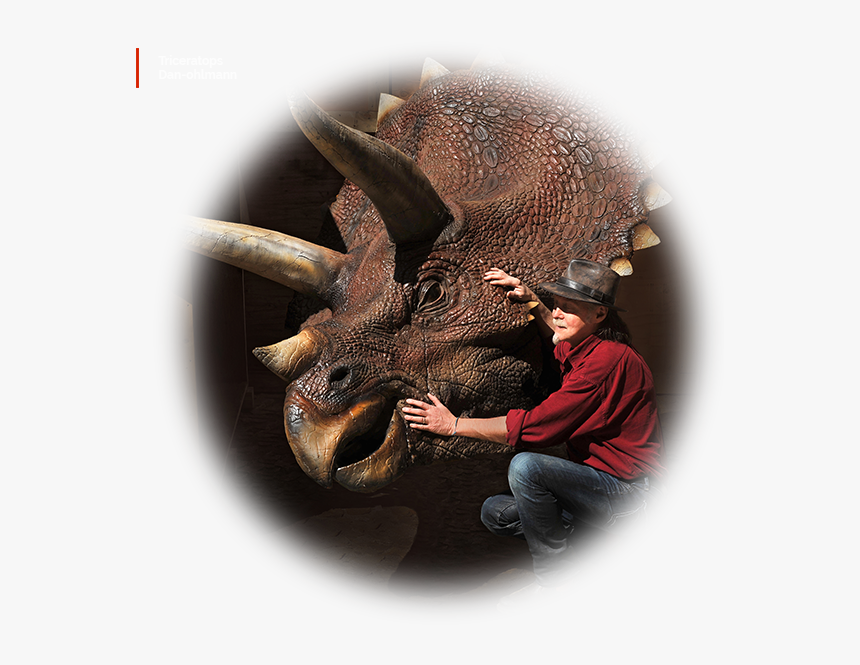 Visual Arts, HD Png Download