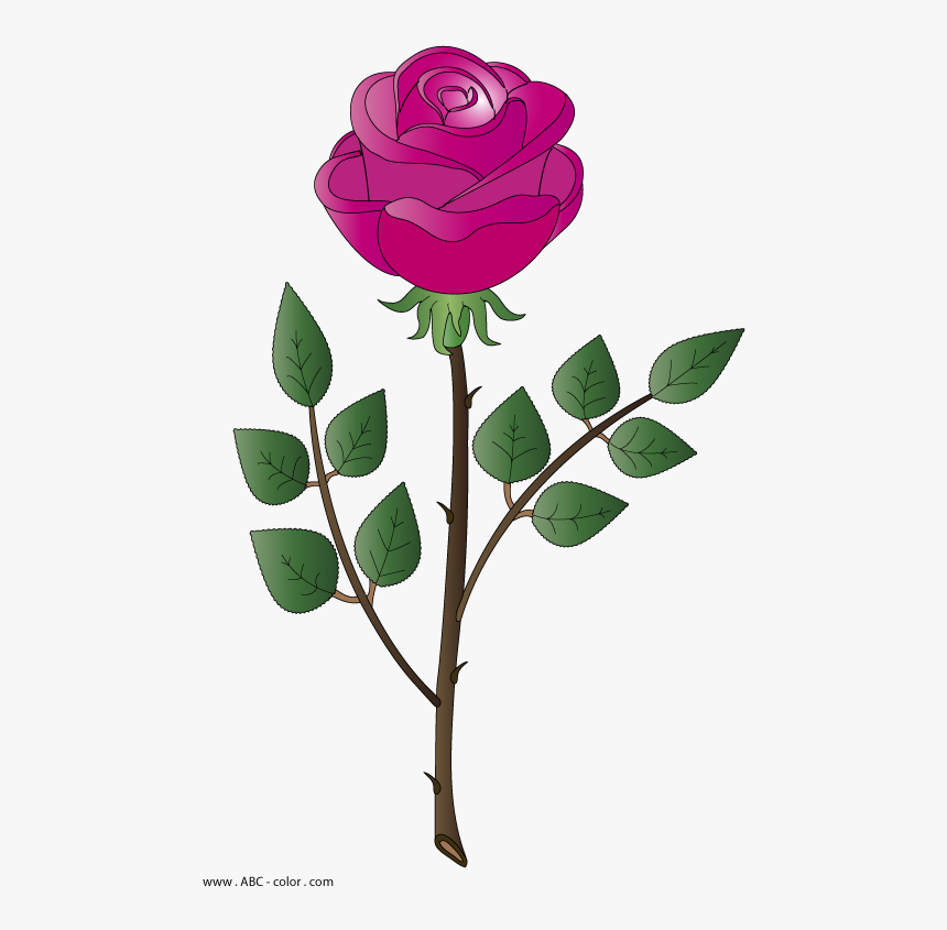 Transparent Marcos De Rosas Png - Rosa Bitmap, Png Download