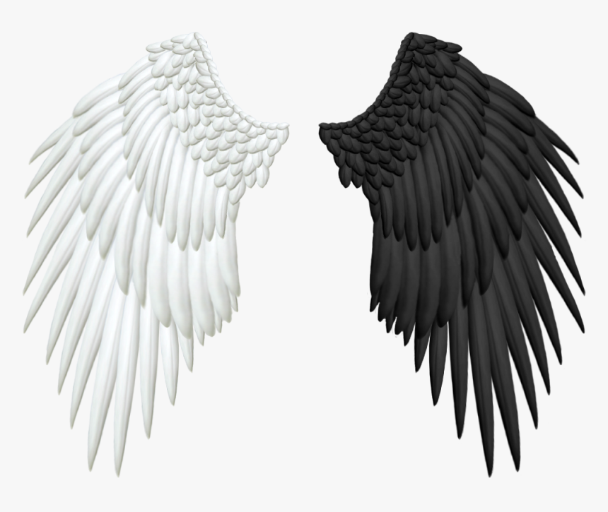 More Like Good And Evil Angel Wings Png By Thy-darkest - Birds Picsart Png Hd, Transparent Png