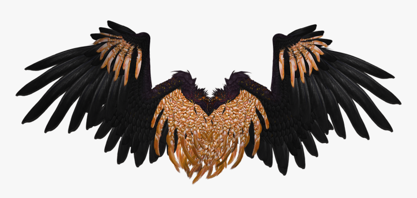 Wing, Angel, Flying, Gold, Black, Isolated, 3d, Render - Black And Gold Angel Wings, HD Png Download