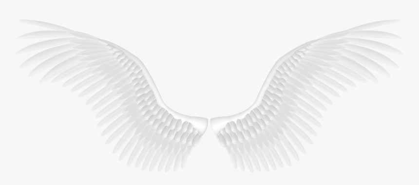 White Angel Wings Png, Transparent Png