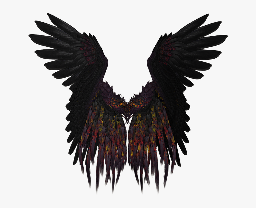 Wing, Feather, Flying, Black, Isolated, Gold, Render - Black Angel Wings Png, Transparent Png