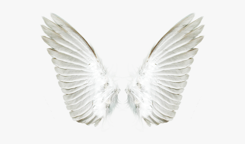 Angel Wing Png - Transparent Angel Wings, Png Download