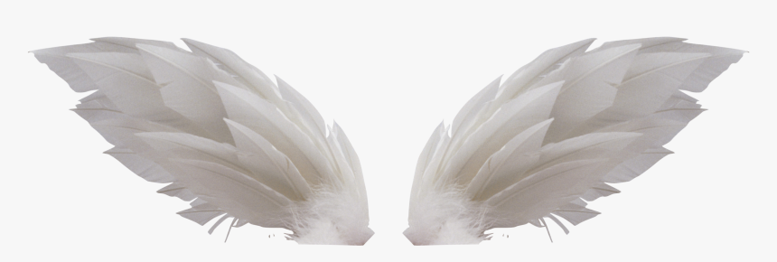 White Wings Png - Крылья Для Фотошопа, Transparent Png