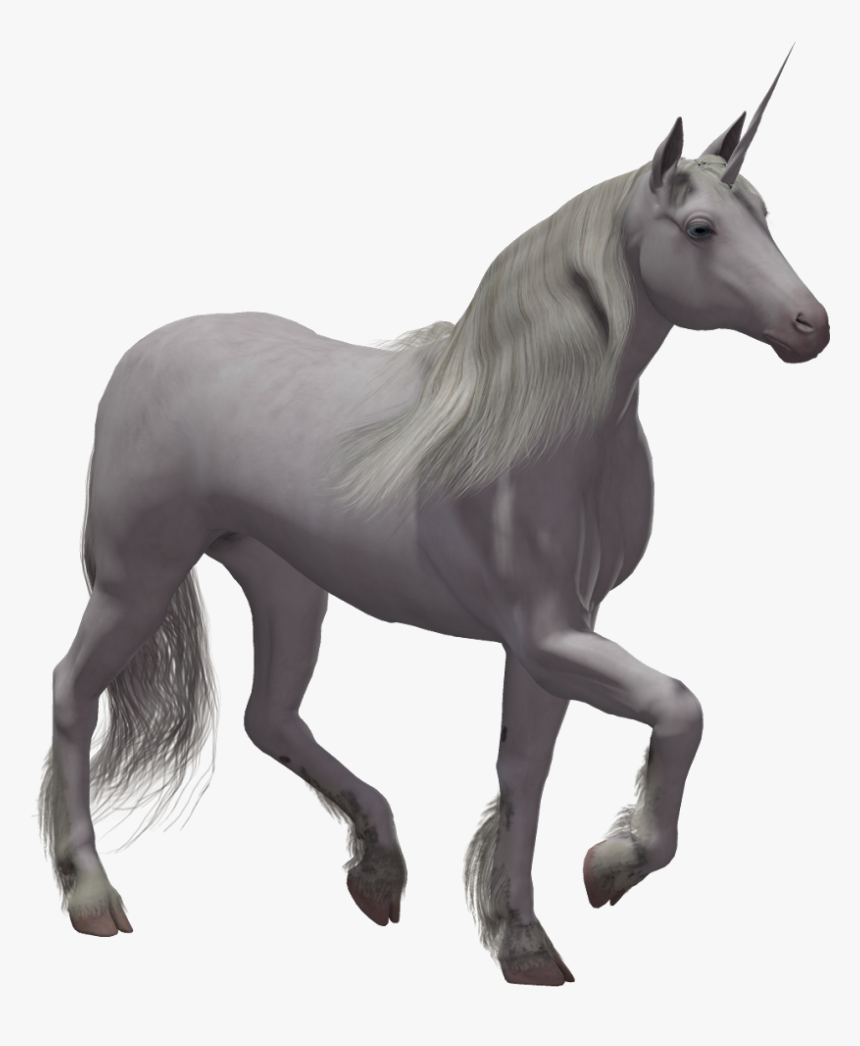 Unicorns With No Background, HD Png Download