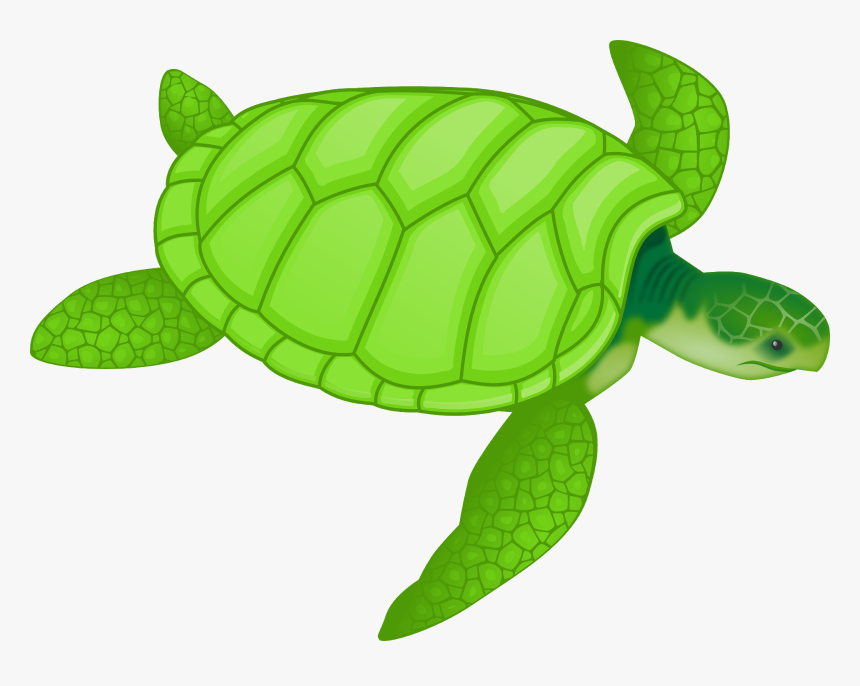 Sea Turtle Clipart, HD Png Download
