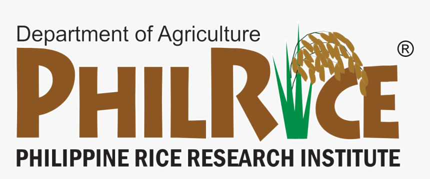 Philrice Logo - Graphic Design, HD Png Download