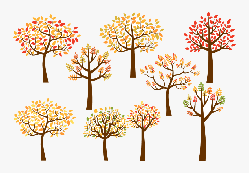 Transparent Deciduous Tree Png Autumn Tree Clipart Png Download Transparent Png Image Pngitem
